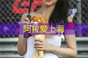 上海新茶工作室：美丽的沪上，盛开的花海迷人如画