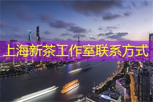 爱上海419论坛：奢华精致的上海会所SPA体验，为你打开全新的放松方式！