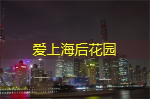 上海新茶网：探索适合单身人士的夜生活选项